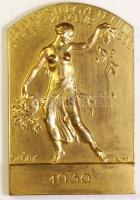 Sződy Szilárd (1878-1939) 1930. "Budapesti Athlétikai Club - 1898" bronz plakett (70x45mm) T:2-/3 / 1930. Athletic Club of Budapest - 1898 Br plaque Sign: Szilárd Sződy (70x45mm) C:VF/F HP-5777.