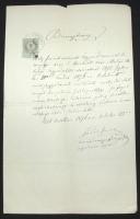 1876 Ügyvédi bizonyítvány Török Imre, csanád megye főügyésze saját kezű aláírásával