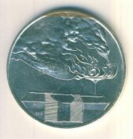 1989. "1956-1989 Vértanúink emlékére" MDF alpakka emlékérem. sign: CSR. T:2