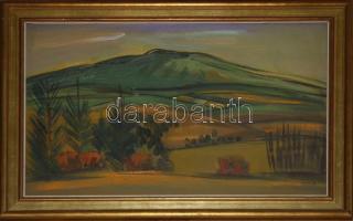 Jakab Eszter (1943-1989): Mátrai táj. Olaj, farost, jelzett, üvegezett keretben. 70x50 cm