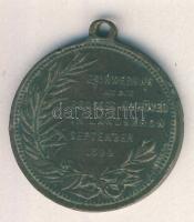 Ausztria 1894. "A Landskroni nagy manőver emlékére/Ferenc József" Br emlékérem (d=29mm) T:3 Austria 1894. "Commemorative medal for the great maneuver in Landskron/Franz Joseph" Br medal C:F