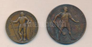 DN "Budapesti (Budai) Torna Egylet Botond és Kinizsy 1869." 2db Br díjérem szign.Berán Lajos T:2
