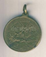 1898. "1848-1898 Szabadságharcunk Dicső Emlékére" Br emlékérem T:2-