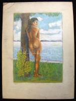 Jelzés nélküli zsírkréta-szén akt 24x33cm