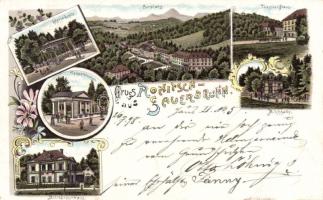 1898 Rogaska Slatina litho