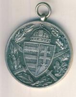 1918. Magyar Háborús Emlékérem "Pro Deo et Patria" ezüstözött Br kitüntetés mellszalag nél...