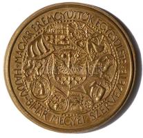 Tóth Sándor (1933-) DN. "MÉE - Erdélyi Fejedelem" bronz emlékérem (74mm) T:1- / ND. Hungarian Numismatic Society - Prince of Transylvania Br commemorative medal Sign: Sándor Tóth (74mm) C:Au