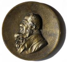 Szilas József (?) 1902. "Steindl tanár emlékére" aranyozott vas emlékérem (75mm) T:2-,3 / 1902. Memory of Professor Steindl gold plated iron commemorative medal (75mm) C:VF,F