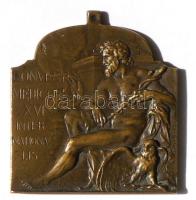 Ifj. Vastagh György (1868-1946) 1909. "Orvos Kongresszus" bronz plakett (40x40mm) T:2- / 1909. Medical Congress Br plaque Sign: György Vastagh (40x40mm) C:VF HP-6363., HV-1398.