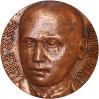 Váró Márton (1943-) 1970. "Dr. Jeney Endre" közegézségtan tanára bronz emlékérem (86mm) T:2,2- 1970. Dr. Endre Jeney professor of health protection Br commemorative medal Sign: Márton Váró (86mm) C:XF,VF CS 255.
