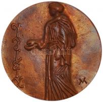 Váró Márton (1943-) 1970. "Dr. Jeney Endre" közegézségtan tanára bronz emlékérem (86mm) T:...