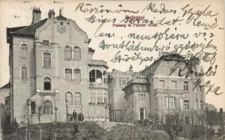 Budapest a Flessig és Fischer-villák