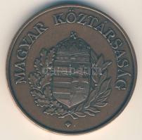 1993. "Antall József 1932-1993/Magyar Köztársaság." Br emlékérem (d=42mm) szign:V.G. T:2