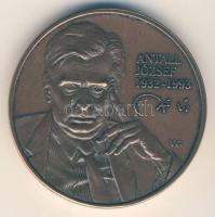 1993. "Antall József 1932-1993/Magyar Köztársaság." Br emlékérem (d=42mm) szign:V.G. T:2