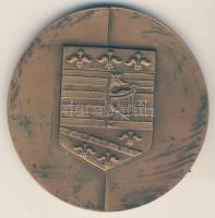 Szlovákia 1991. "Kassai Közlekedési Társaság 1891-1991" Br emlékérem dísztokban T:1-
Slova...