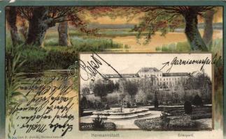 Nagyszeben Erlenpark litho (EB)