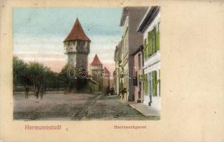 Nagyszeben Harteneck street