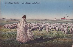 Hortobágy juhász