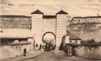 Lőcse castle gate (wet damage)