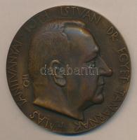 Beck Ödön Fülöp (1873-1945) "Tóth István Dr. Egyet. Tanárnak Hálás Tanítványai" Br emlékplakett (65mm) T:2