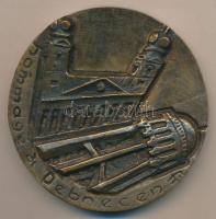 D.Farkas István (1915-2005) "Hommage á Debrecen" női akt Br plakett (85mm) T:2