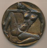 D.Farkas István (1915-2005) "Hommage á Debrecen" női akt Br plakett (85mm) T:2
