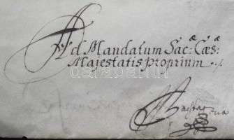 1650 Indigenátust megerősítő oklevél III. Ferdinánd császár saját kezű aláírásával. Az oklevélben II...