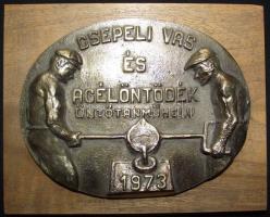 1973. "Csepeli Vas és Acélöntödék Öntőtanműhely" Br asztali plakett fa talapzaton (17,5cm x 14,5cm) T:2