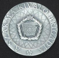 DN "A Szakma Kiváló Brigádja" fém emlékplakett dísztokban szign:Vincze Dénes T:2