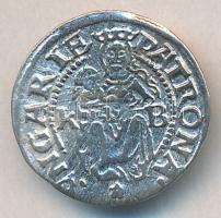 1537K-B Denár Ag "I. Ferdinánd" (ÉH.745.a) T:2