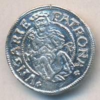 II. Lajos 1526. Dénár Ag (ÉH.673.o) T:2