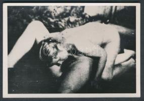 12db kis méretű pornó fotó