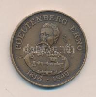 1989. "MÉE Gyöngyösi Csoport-Az Aradi Vértanúk Emlékére / Poeltenberg Ernő" Br emlékérem s...