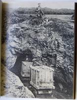 Francois Pernot: Az arany. Gyönyörűen illusztrált könyv az arany történetéről. Lazi. 2007. 222p. Új ...