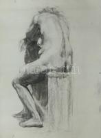 Jelzés nélküli akt szénrajz. 50x60 cm