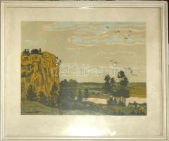 Olvashatatlan jelzéssel: Folyópart linómetszet, üvegezett keretben 46x53cm