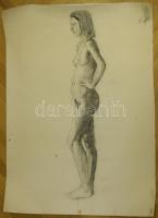 Jelzés nélküli akt szénrajz. 50x70 cm