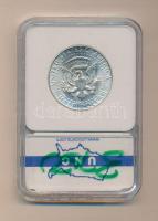 USA 1969D. 1/2$ Ag "Kennedy" eredeti bontatlan plasztik tokban T:UNC/MS-67 USA 1969D. 1/2 Dollar Ag "Kennedy" in authentic plastic case C:UNC/MS-67