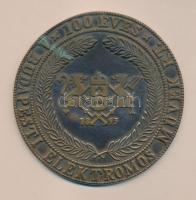 1993. "100 éves a Budapesti Elektromos Művek Rt." Br emlékplakett (d=10,5cm) T:2