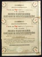 1946. Dreher-Haggenmacher Első Magyar Részvényserfőződe részvényelismervénye ideiglenes részvényről 40P értékben (2x) egymáshoz közeli sorszámúak