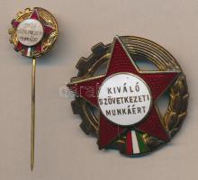 DN. "Kiváló Szövetkezeti Munkáért" kitüntetés kitűzővel, dísztokban T:2