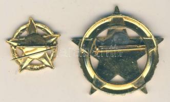 ~1970. A Belkereskedelem Kiváló Dolgozója kitűzővel dísztokban T:1-