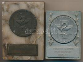 1956-62. "Budapesti Orvostudományi Egyetem Sportclub Versenydíj "Jó Tanulásért" Br emlékérem márvány talapzaton + "Budapesti Orvostudományi Egyetem Sportclub Versenydíj a hűséges és eredményes sporttevékenységért fém emlékplakett dísztokban T:2