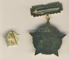 ~1970 "A Vízgazdálkodás Kiváló Dolgozója" kitüntetés kitűzővel dísztokban T:1