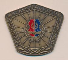 DN. Eredményes propaganda munkáért járó Br emlékplakett (d=7cm) + "Eredményes Szakszervezeti Munkáért" Br szögletes emlékplakett (8x9cm)T:2