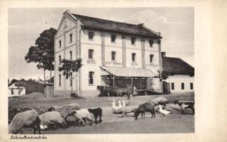 Békésszentandrás malom