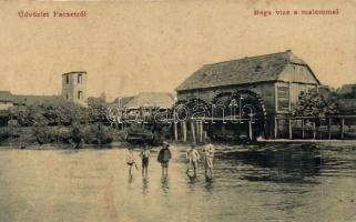 Facset Béga mill (EB)