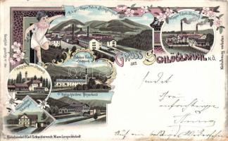Schlöglmühl (Payerbach) factories litho