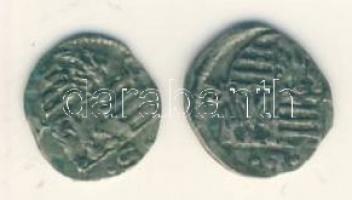 Zsigmond 1387-1437. parvus Ag (ÉH 451./két pont "S" mellett) T:2/3+