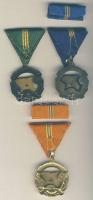 ~1960 "A Haza Szolgálatáért Érdemérem" arany, ezüst és bronz fokozata dísztokban T:1-